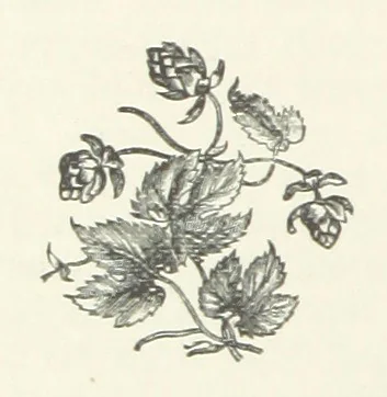 An illustration from Bond Slaves. The story of a struggle, 1893, leaf 114
