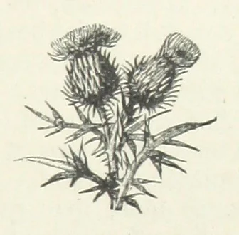 An illustration from Bond Slaves. The story of a struggle, 1893, leaf 133