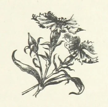 An illustration from Bond Slaves. The story of a struggle, 1893, leaf 177