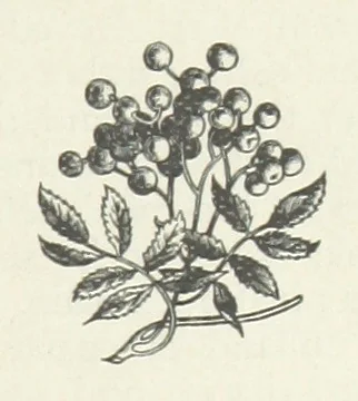 An illustration from Bond Slaves. The story of a struggle, 1893, leaf 185