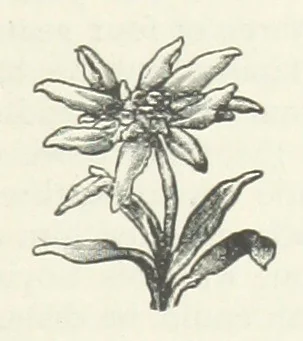 An illustration from Bond Slaves. The story of a struggle, 1893, leaf 193