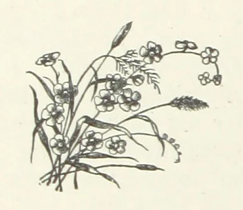 An illustration from Bond Slaves. The story of a struggle, 1893, leaf 266