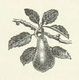 An illustration from Bond Slaves. The story of a struggle, 1893, leaf 87