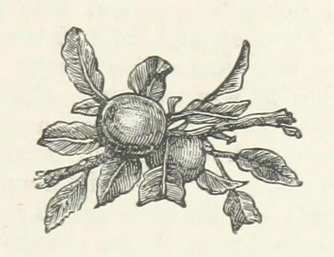 An illustration from Bond Slaves. The story of a struggle, 1893, leaf 95