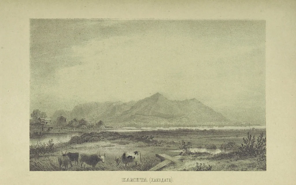 An illustration from Очерки перомъ и карандащемъ изъ кругосвѣтнаго плаванія въ 1857, 1858, 1859 и 1860 годахъ ... Изданіе второе, исправленное. Съ ... рисункамн, 1867, leaf 349