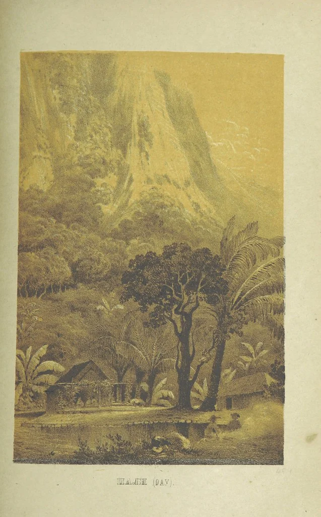 An illustration from Очерки перомъ и карандащемъ изъ кругосвѣтнаго плаванія въ 1857, 1858, 1859 и 1860 годахъ ... Изданіе второе, исправленное. Съ ... рисункамн, 1867, leaf 443