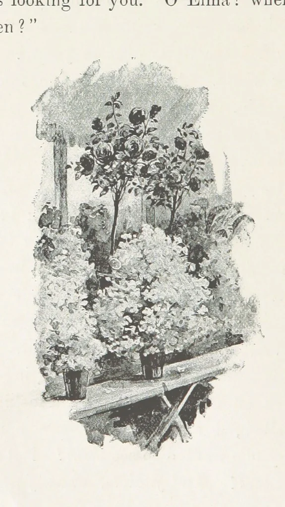An illustration from A Sage of Sixteen, etc, 1889, leaf 104