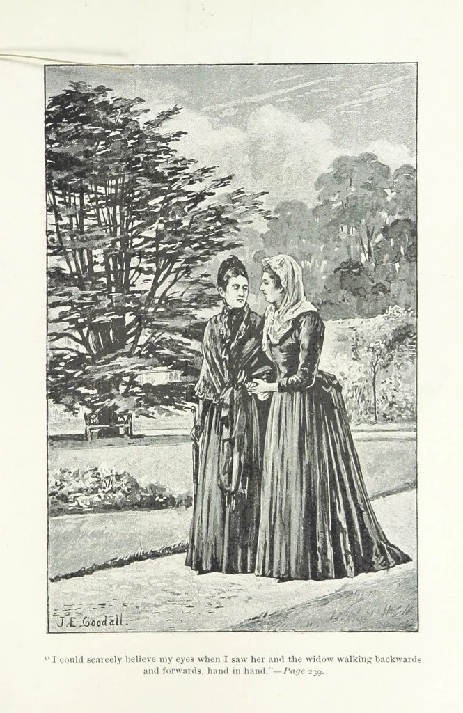 An illustration from A Sage of Sixteen, etc, 1889, leaf 271