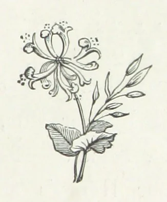 An illustration from A Sage of Sixteen, etc, 1889, leaf 89