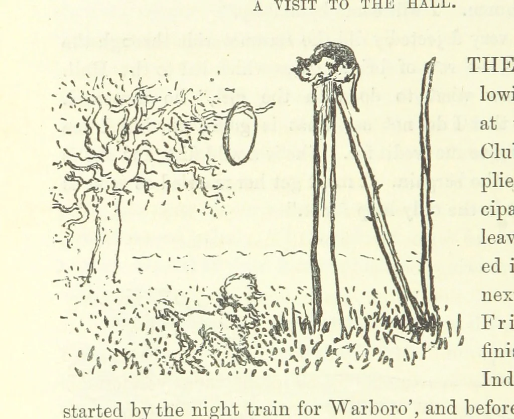 An illustration from Fair Diana. By “Wanderer” ... With illustrations by G. Bowers. [A novel, 1884, leaf 136
