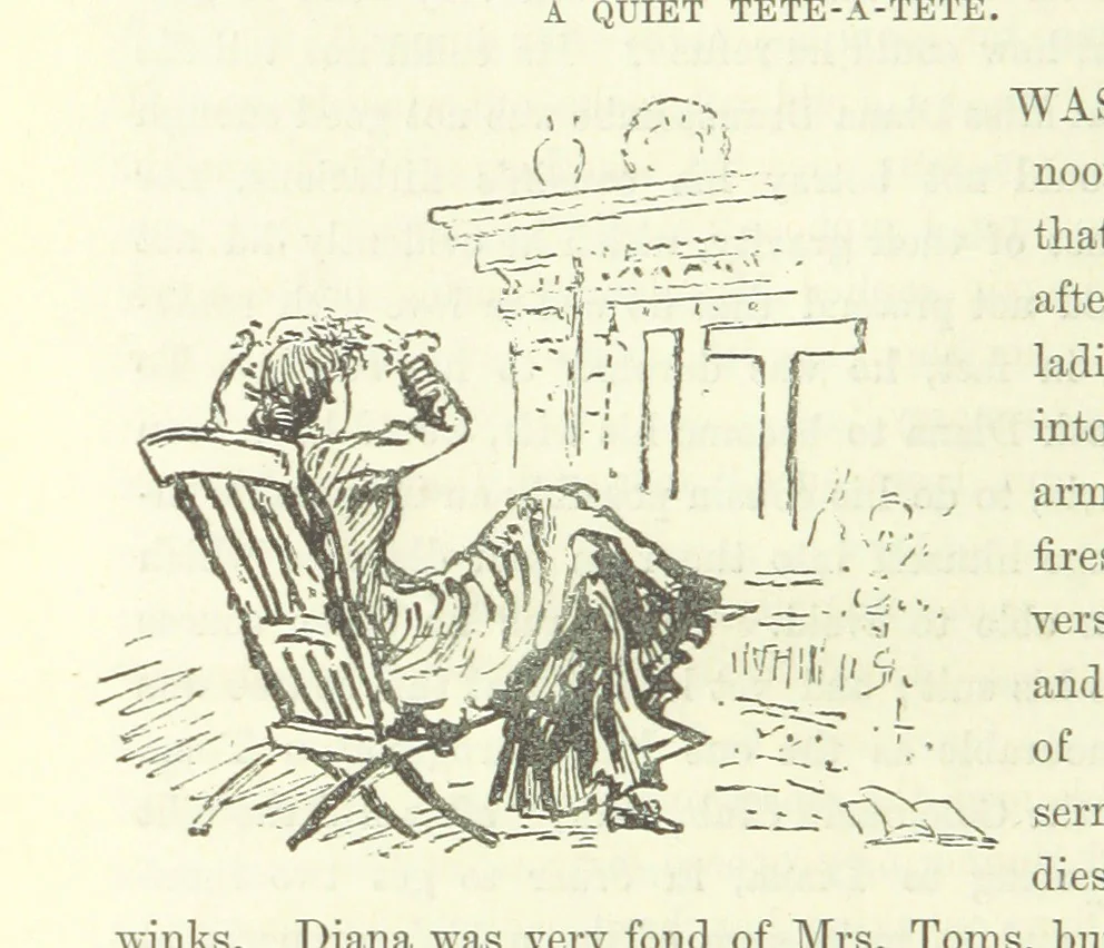 An illustration from Fair Diana. By “Wanderer” ... With illustrations by G. Bowers. [A novel, 1884, leaf 150