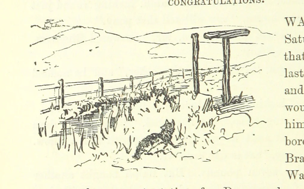 An illustration from Fair Diana. By “Wanderer” ... With illustrations by G. Bowers. [A novel, 1884, leaf 182