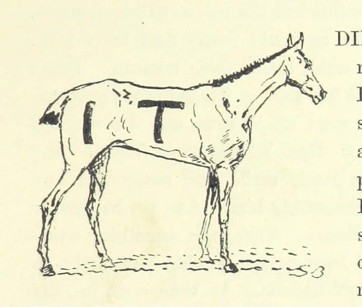An illustration from Fair Diana. By “Wanderer” ... With illustrations by G. Bowers. [A novel, 1884, leaf 193