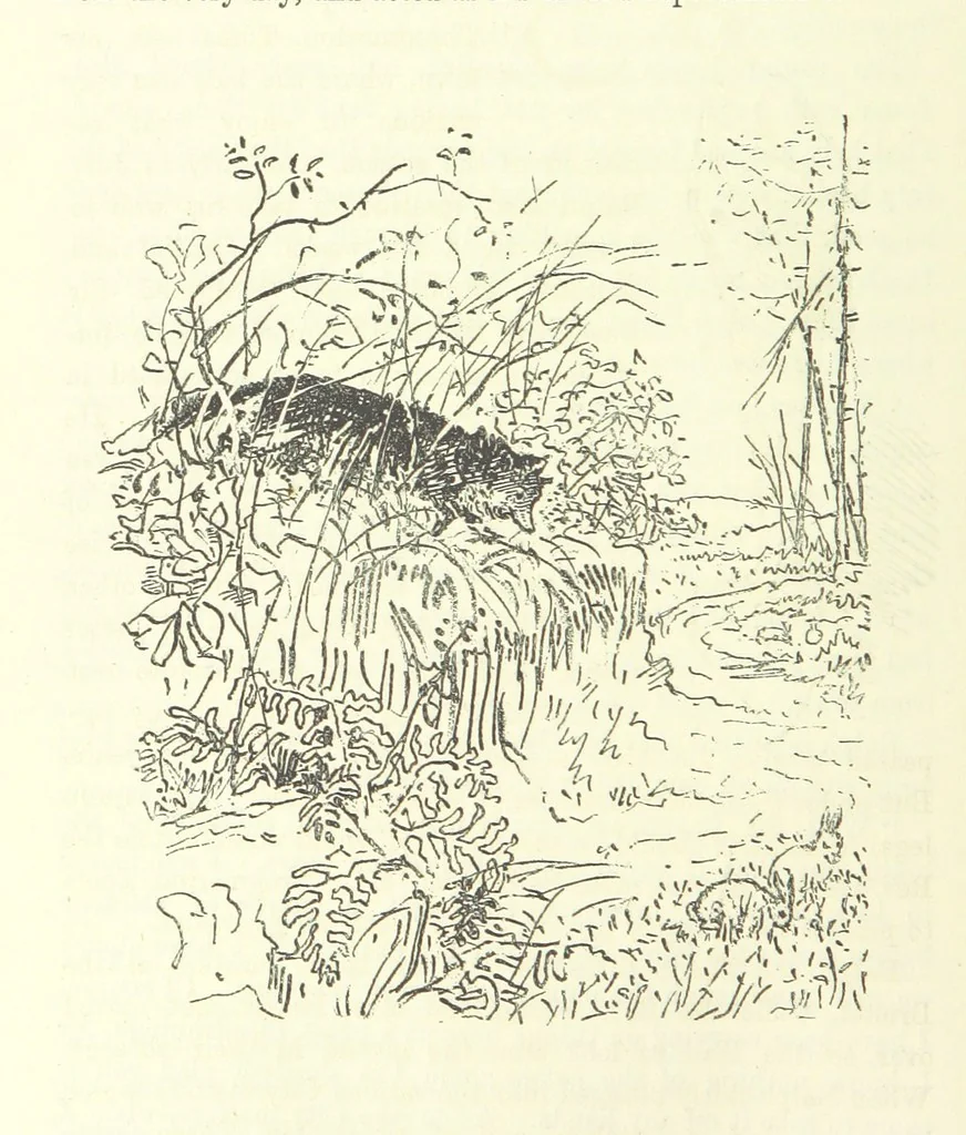An illustration from Fair Diana. By “Wanderer” ... With illustrations by G. Bowers. [A novel, 1884, leaf 214