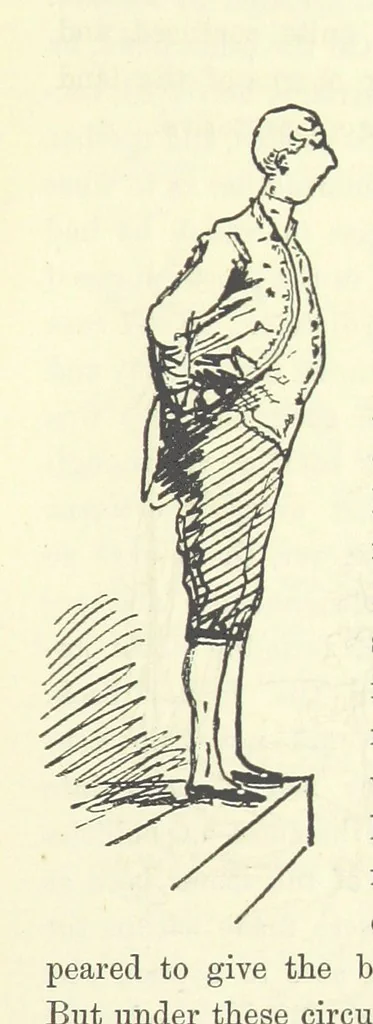 An illustration from Fair Diana. By “Wanderer” ... With illustrations by G. Bowers. [A novel, 1884, leaf 215