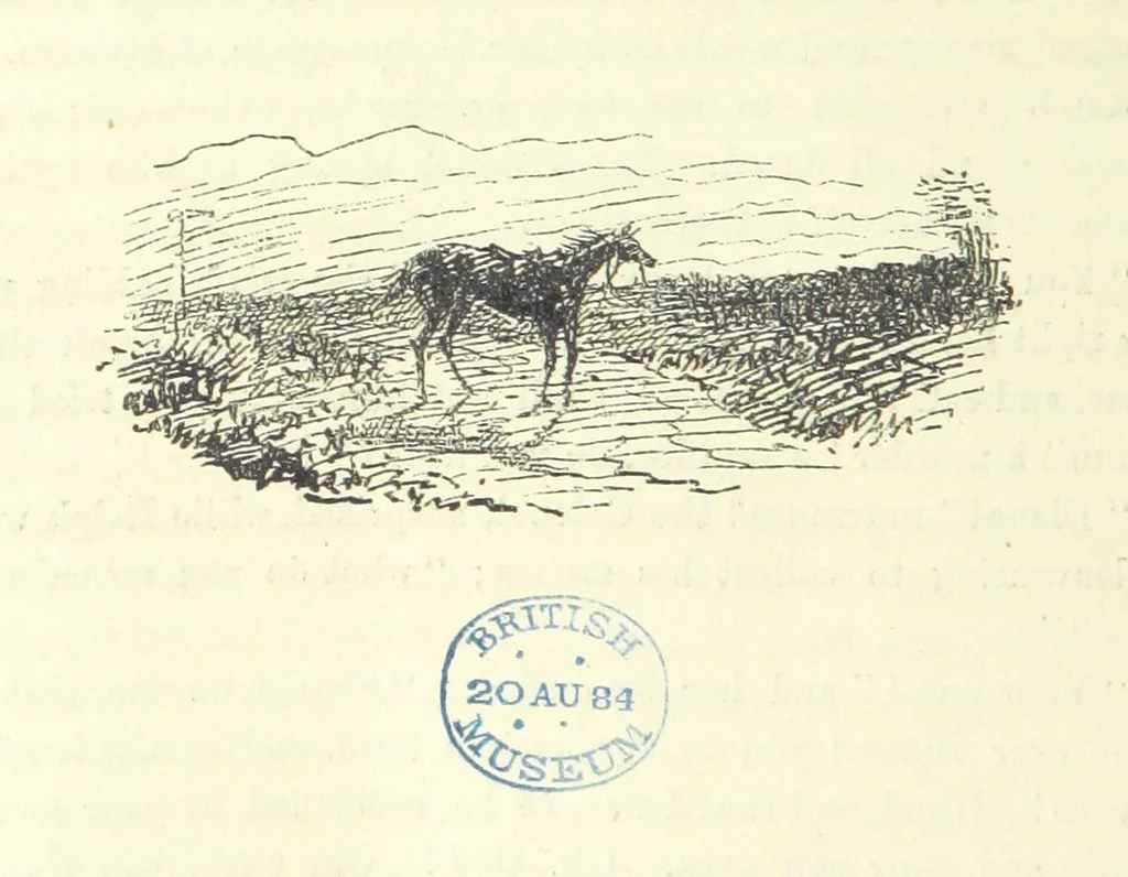 An illustration from Fair Diana. By “Wanderer” ... With illustrations by G. Bowers. [A novel, 1884, leaf 264