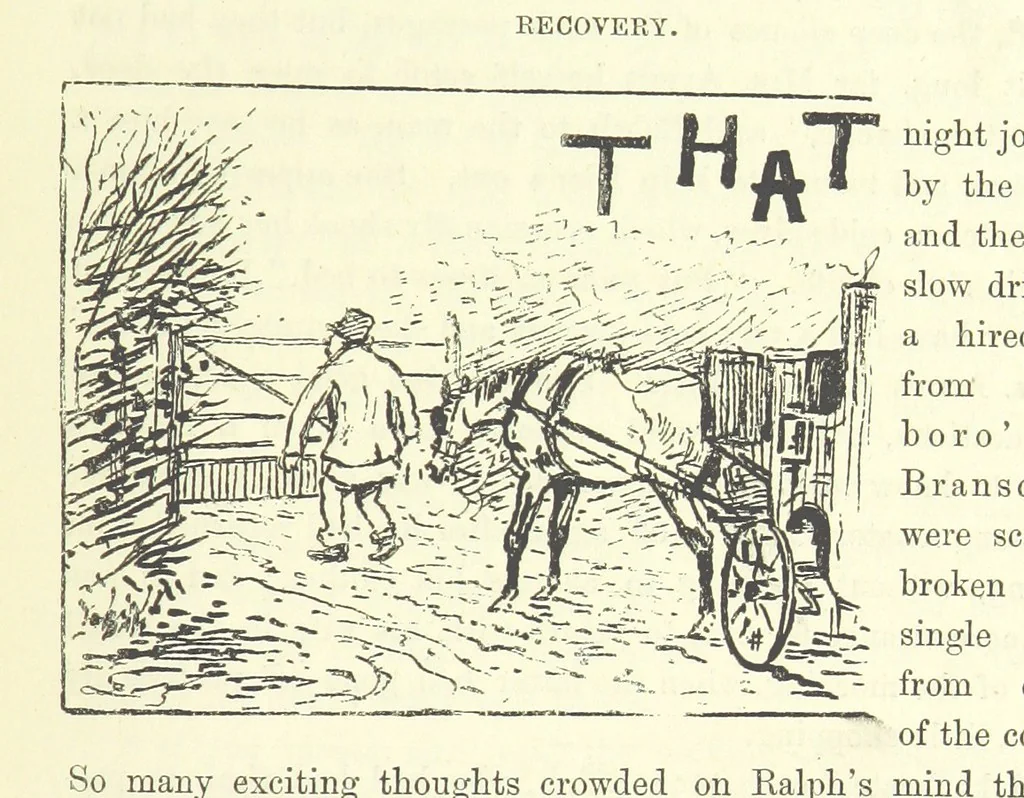 An illustration from Fair Diana. By “Wanderer” ... With illustrations by G. Bowers. [A novel, 1884, leaf 265