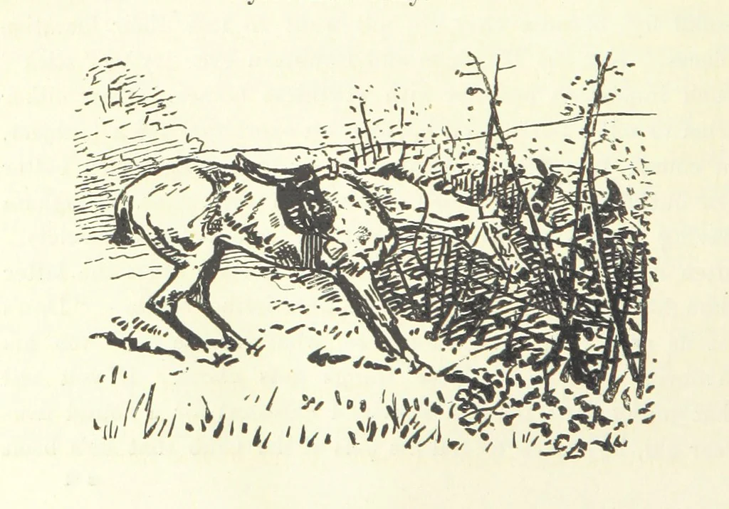 An illustration from Fair Diana. By “Wanderer” ... With illustrations by G. Bowers. [A novel, 1884, leaf 286