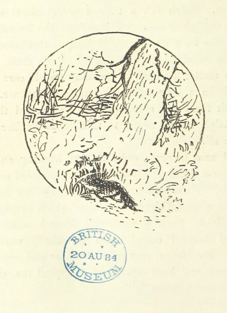 An illustration from Fair Diana. By “Wanderer” ... With illustrations by G. Bowers. [A novel, 1884, leaf 300