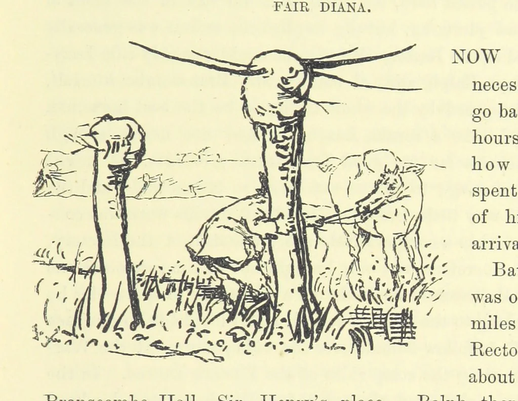 An illustration from Fair Diana. By “Wanderer” ... With illustrations by G. Bowers. [A novel, 1884, leaf 31