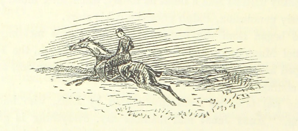 An illustration from Fair Diana. By “Wanderer” ... With illustrations by G. Bowers. [A novel, 1884, leaf 344