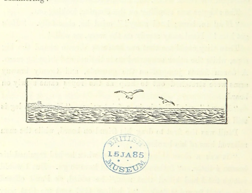 An illustration from Fair Diana. By “Wanderer” ... With illustrations by G. Bowers. [A novel, 1884, leaf 372