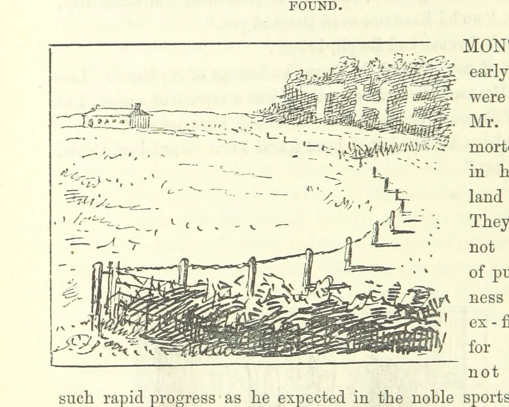 An illustration from Fair Diana. By “Wanderer” ... With illustrations by G. Bowers. [A novel, 1884, leaf 382