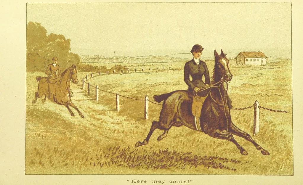 An illustration from Fair Diana. By “Wanderer” ... With illustrations by G. Bowers. [A novel, 1884, leaf 388