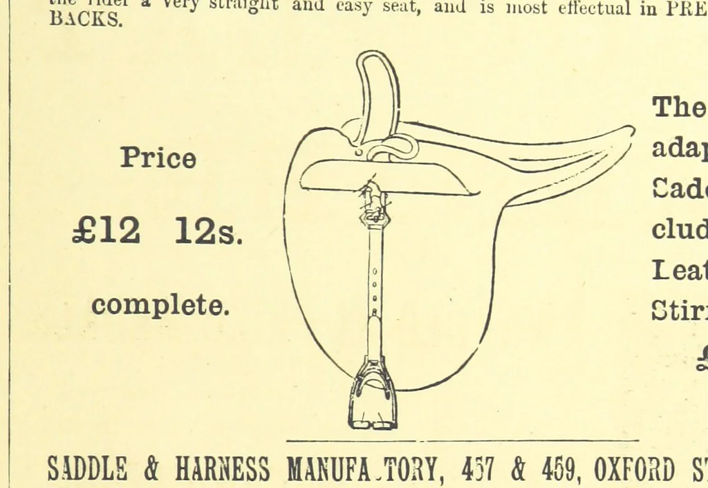 An illustration from Fair Diana. By “Wanderer” ... With illustrations by G. Bowers. [A novel, 1884, leaf 419