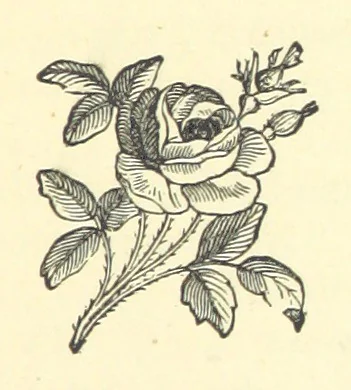 An illustration from Arthur's Victory, 1873, leaf 41