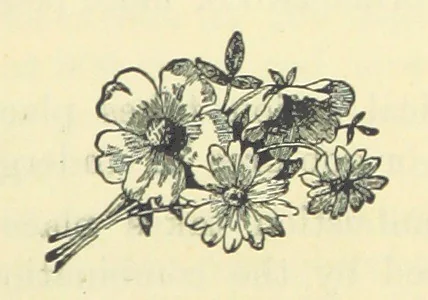 An illustration from A Comprehensive Reference Book on Practical Coal Mining ... Fourth edition, 1891, leaf 55