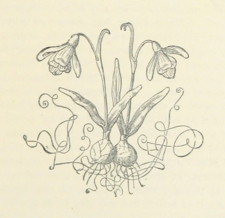 An illustration from A Villain's Legacy: being a second edition of Haro! Haro! Haro! etc, 1899, leaf 161