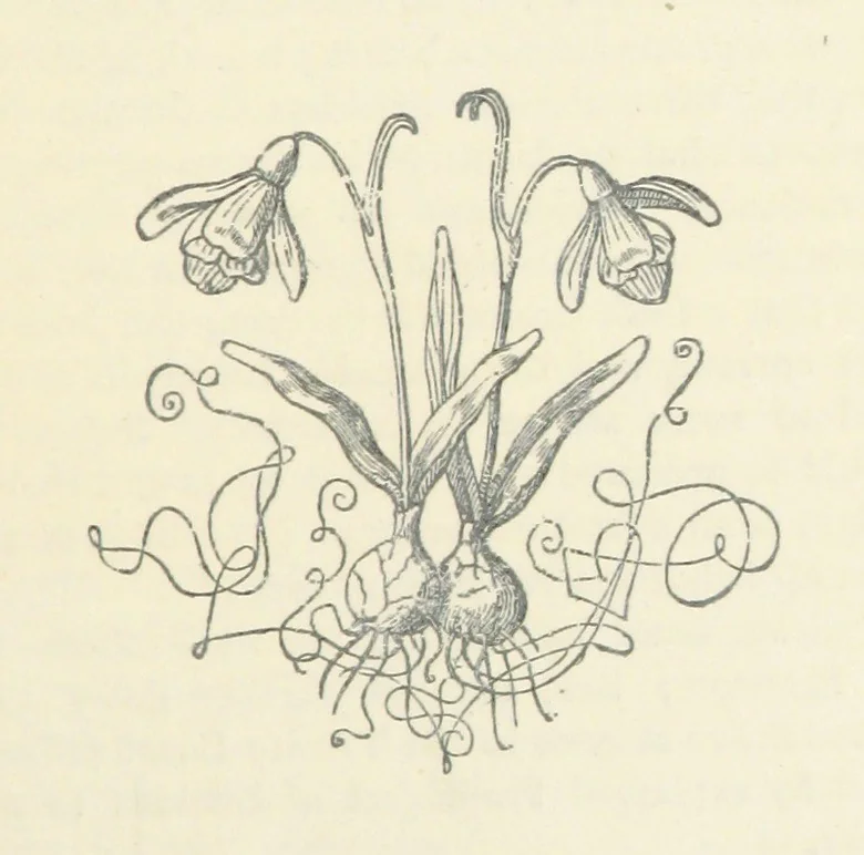 An illustration from A Villain's Legacy: being a second edition of Haro! Haro! Haro! etc, 1899, leaf 187