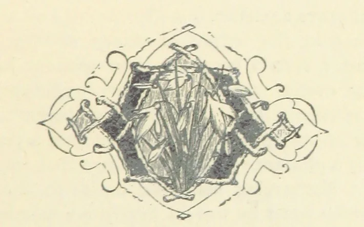 An illustration from A Villain's Legacy: being a second edition of Haro! Haro! Haro! etc, 1899, leaf 33