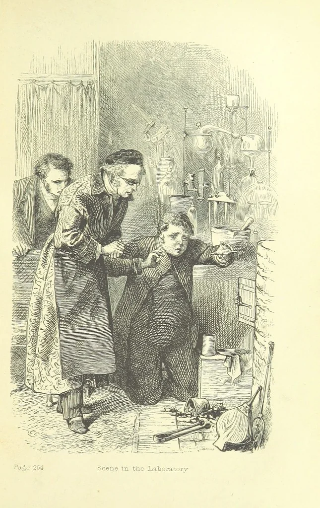 An illustration from Passages from the Diary of a Late Physician ... First series, 1864, leaf 293