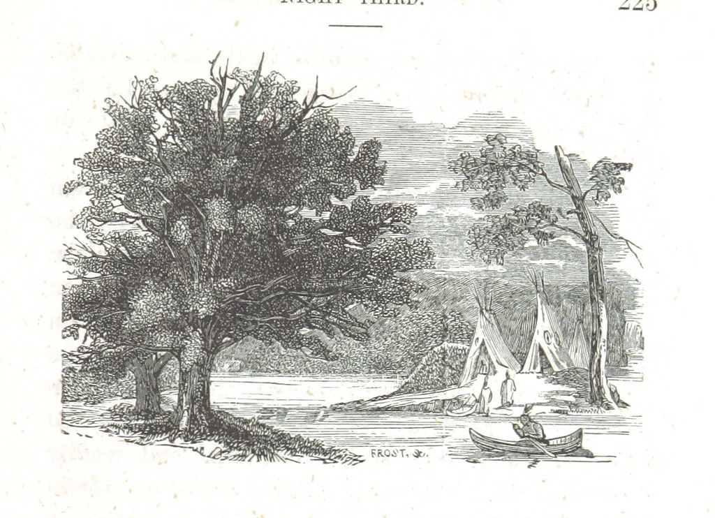 An illustration from Nights in a block house: or, sketches of border life, etc, 1852, leaf 231