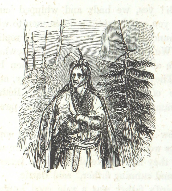 An illustration from Nights in a block house: or, sketches of border life, etc, 1852, leaf 266