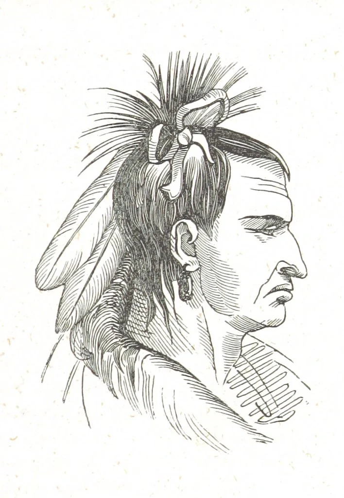 An illustration from Nights in a block house: or, sketches of border life, etc, 1852, leaf 299