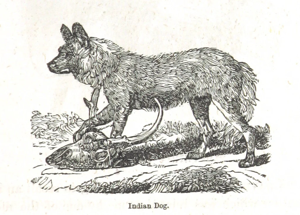 An illustration from Nights in a block house: or, sketches of border life, etc, 1852, leaf 359