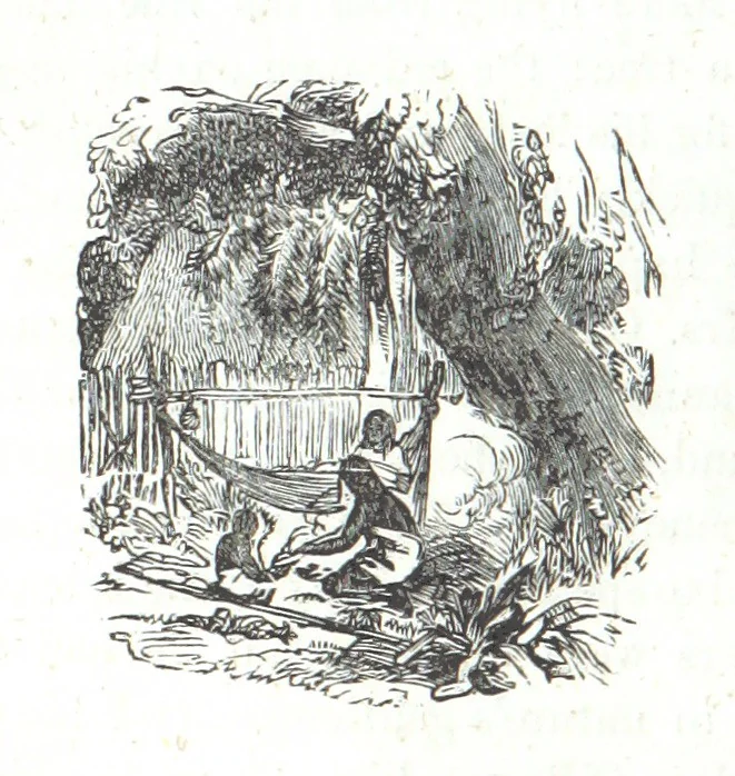 An illustration from Nights in a block house: or, sketches of border life, etc, 1852, leaf 402