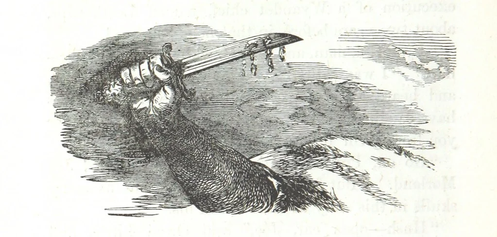 An illustration from Nights in a block house: or, sketches of border life, etc, 1852, leaf 442