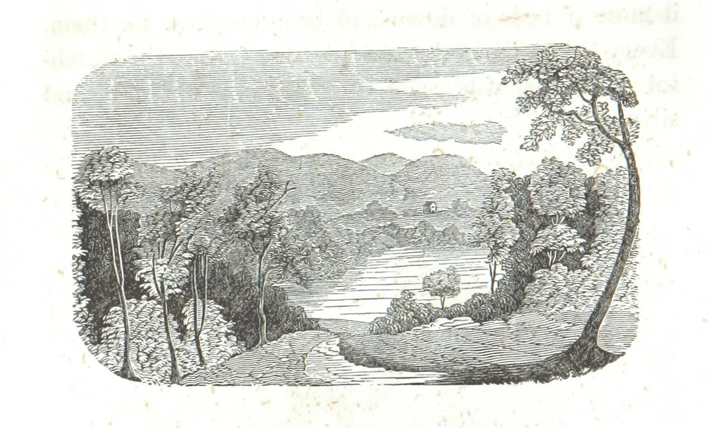An illustration from Nights in a block house: or, sketches of border life, etc, 1852, leaf 78