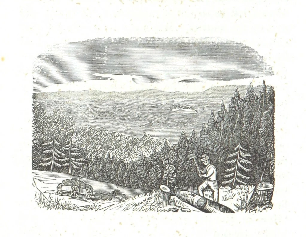 An illustration from Nights in a block house: or, sketches of border life, etc, 1852, leaf 96