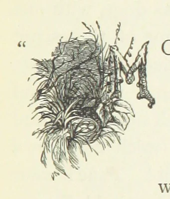 An illustration from Fireside Tales, 1885, leaf 101