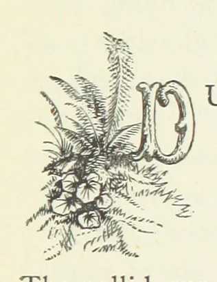 An illustration from Fireside Tales, 1885, leaf 113