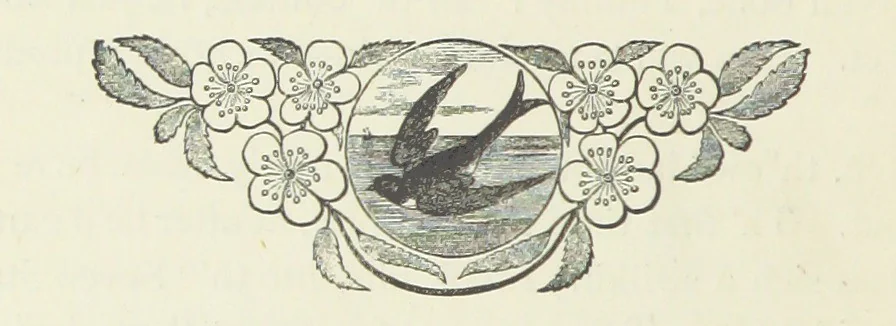 An illustration from Fireside Tales, 1885, leaf 126
