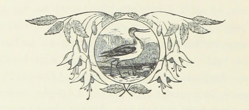 An illustration from Fireside Tales, 1885, leaf 58