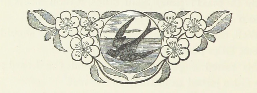 An illustration from Fireside Tales, 1885, leaf 64