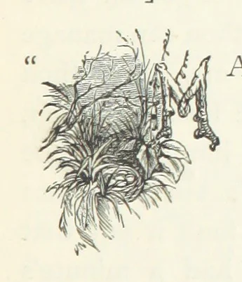 An illustration from Fireside Tales, 1885, leaf 87
