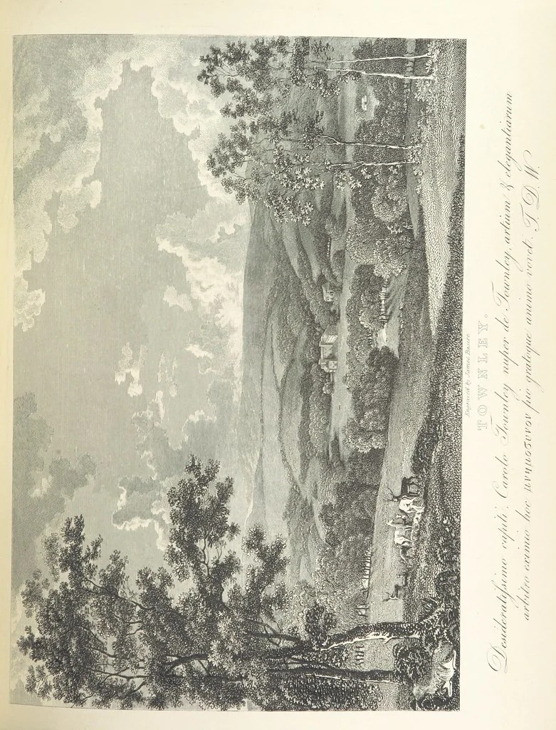 An illustration from An History of the original Parish of Whalley and Honor of Clitheroe. ... To which is subjoined an account of the Parish of Cartmell ... The Third edition, revised and enlarged. With additional engravings, 1872, leaf 257